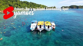 Snorkelling at Pulau Pinang Redang Terengganu Malaysia shorts [upl. by Anoed569]