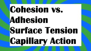 Cohesion vs adhesion [upl. by Atsedom]