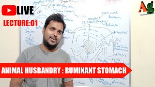 Animal Husbandry  Livestock  Digestive System of Cattle  Ruminant Stomach  Lecture1 [upl. by Woothen809]