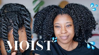 Moisturise DRY Natural Hair In 4 Easy Steps 🔢 Detailed wProduct Recommendations [upl. by Ahsihat]