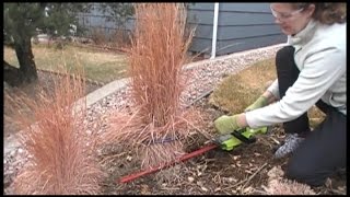 The BEST Way to Prune Ornamental Grasses [upl. by Thinia]