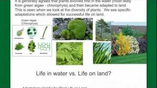 Introduction to Plant Diversity [upl. by Ruthie]