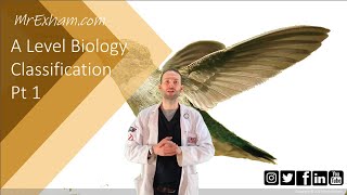 Classification Part 1  A Level Biology [upl. by Wauters]