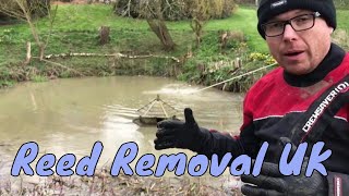 Reed Removal UK  How to remove Bulrush or Reed mace [upl. by Teillo]