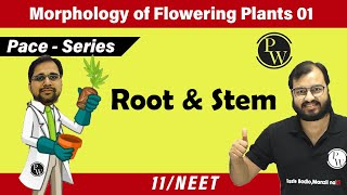 Morphology of Flowering Plants 01  Root and Stem  Class 11  Pace Series  NEET [upl. by Ocir]