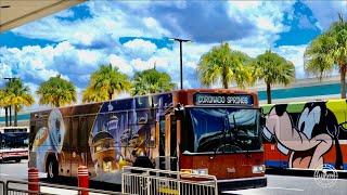 Walt Disney World Bus Ride to Disneys Hollywood Studios amp Disney’s Coronado Springs Resort in 4K [upl. by Silver]