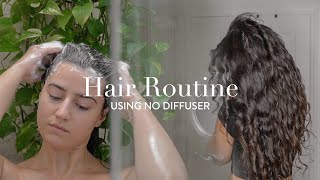 My FrizzFree Natural WavyCurly Hair Routine No Diffuser [upl. by Frederiksen160]