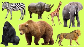 Learn names Zoo Animals in English  Learn Sounds of Zoo Animals for Kids [upl. by Marcell]