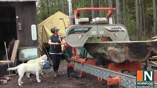 Making a Great Living with a Norwood HD36 Portable Sawmill  Meet Rose Forestry [upl. by Pomfret288]