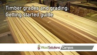 Timber grades and grading Getting started guide [upl. by Ardnassac]