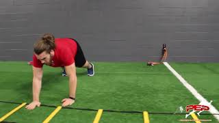 Agility Ladder Upper and Lower Body Circuit Training  Speed Performance [upl. by Teleya136]