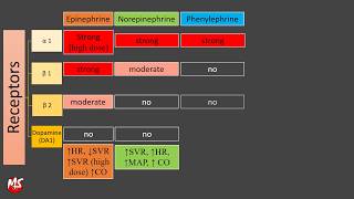 Vasopressor and Inotropes  Made Easy [upl. by Yrkcaz]