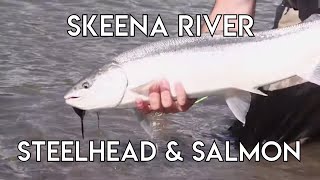 Summer Steelhead  Skeena River Fishing [upl. by Lenehc]