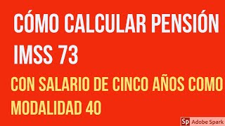 Cómo calcular tu pensión IMSS 73 con salario de 5 años con Modalidad 40 [upl. by Luhem]