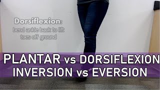 Plantar Flexion vs Dorsiflexion Inversion vs Eversion [upl. by Tuneberg392]