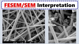 How to Interpret SEM Images [upl. by Ambrosi410]