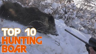 Wild Boar Hunting Top 10 Amazing kill shots and chargesattacks 2019 Chasse Compil Sanglier Attila [upl. by Alexandre320]