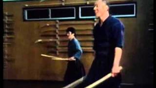 Two Swords Technique  Tenshinshoden Katori Shinto ryu [upl. by Bette]