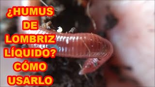 HUMUS DE LOMBRIZ LÍQUIDO LIXIVIADOS ¿QUE HACER CON ELLOS🐍🐍🐍 PARTE 4 [upl. by Fried]