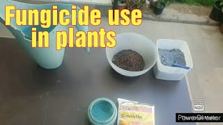 ★ How to Make Cheap Homemade Fungicide Complete Step by Step Guide [upl. by Attelocin]