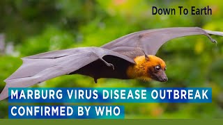 Marburg Virus disease outbreak declared by WHO [upl. by Aibara]