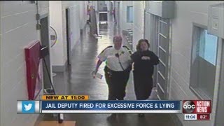 Pinellas County jail deputy fired for slapping inmate and lying about it [upl. by Rimidalv]