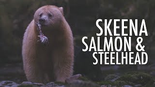 Skeena Salmon amp Steelhead [upl. by Adiaros]