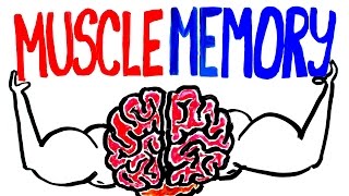 Muscle Memory Explained [upl. by Brianne]