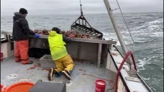 Scallop Dragging Off Rocky Maine Coast [upl. by Tanitansy]