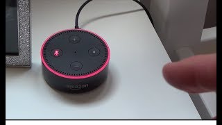 How to FORCE Amazon Echo to Update to the latest Software Version [upl. by Cavuoto923]