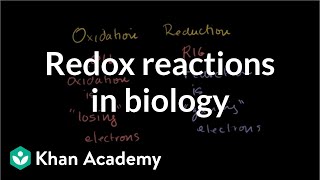 Oxidation and reduction review from biological pointofview  Biomolecules  MCAT  Khan Academy [upl. by Etnom504]