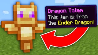 Minecraft But There Are Custom Totems [upl. by Htomit]