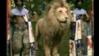 BBC Chronicles of Narnia LWW  Chapter 56 Part 13 [upl. by Rosenbaum]