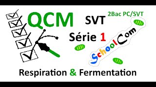 QCM  SVTSérie 1 2bac PC  2bac SVT Unité 1Chapitre 1 Respiration amp Fermentation [upl. by Nibas]