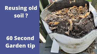 Can you reuse old soil in containers  60 Second Garden tip [upl. by Kurth791]