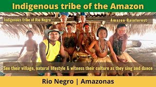 Brazil Travel  Indigenous tribe of the Amazon [upl. by Eiramnna]