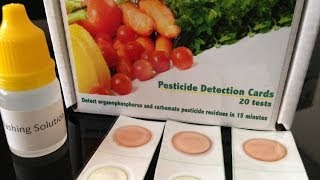 Protect Bees from Insecticide Poisoning [upl. by Ennaer]