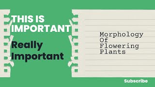 MORPHOLOGY OF FLOWERING PLANTS [upl. by Elwira175]