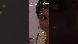 ka pae ranasingam whatsapp status full screen [upl. by Ednalrim391]