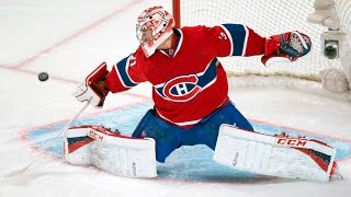 Best Saves in NHL History [upl. by Asseniv]