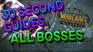 Naxxramas All Bosses  30 Second Guides [upl. by Adnerad104]