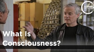 David Chalmers  What is Consciousness [upl. by Renba71]