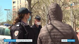 Trafic de drogue à Marseille  descente de la brigade des Stups dans la cité La Bricarde [upl. by Crist725]