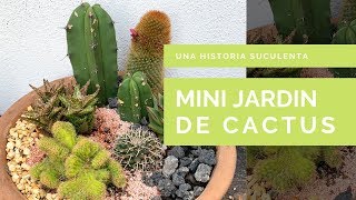 Como Plantar Cactus y Suculentas Juntos [upl. by Alikee]