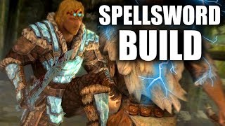 Skyrim How To Make An OVERPOWERED DUAL WIELD Build On Legendary Difficulty [upl. by Adirf]