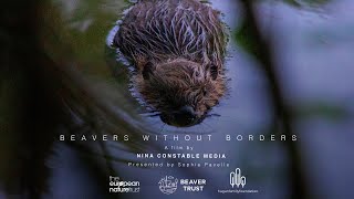 Beavers Without Borders a short documentary [upl. by Ennairrac]