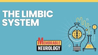 Limbic System Mnemonics Memorable Neurology Lecture 2 [upl. by Henrie]