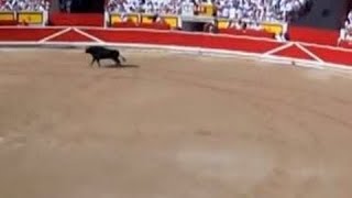 Bullfight San Fermín Pamplona Navarre Spain Europe [upl. by Tu]