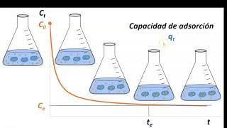 Cómo elaborar una isoterma de adsorción [upl. by Aroc]