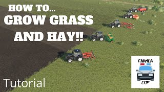 How to Grow Grass and Hay in Farming Simulator 19 [upl. by Eikcuhc]